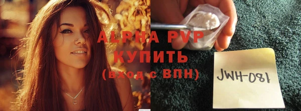 гидра Покачи