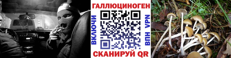 Псилоцибиновые грибы прущие грибы  хочу наркоту  Андреаполь 